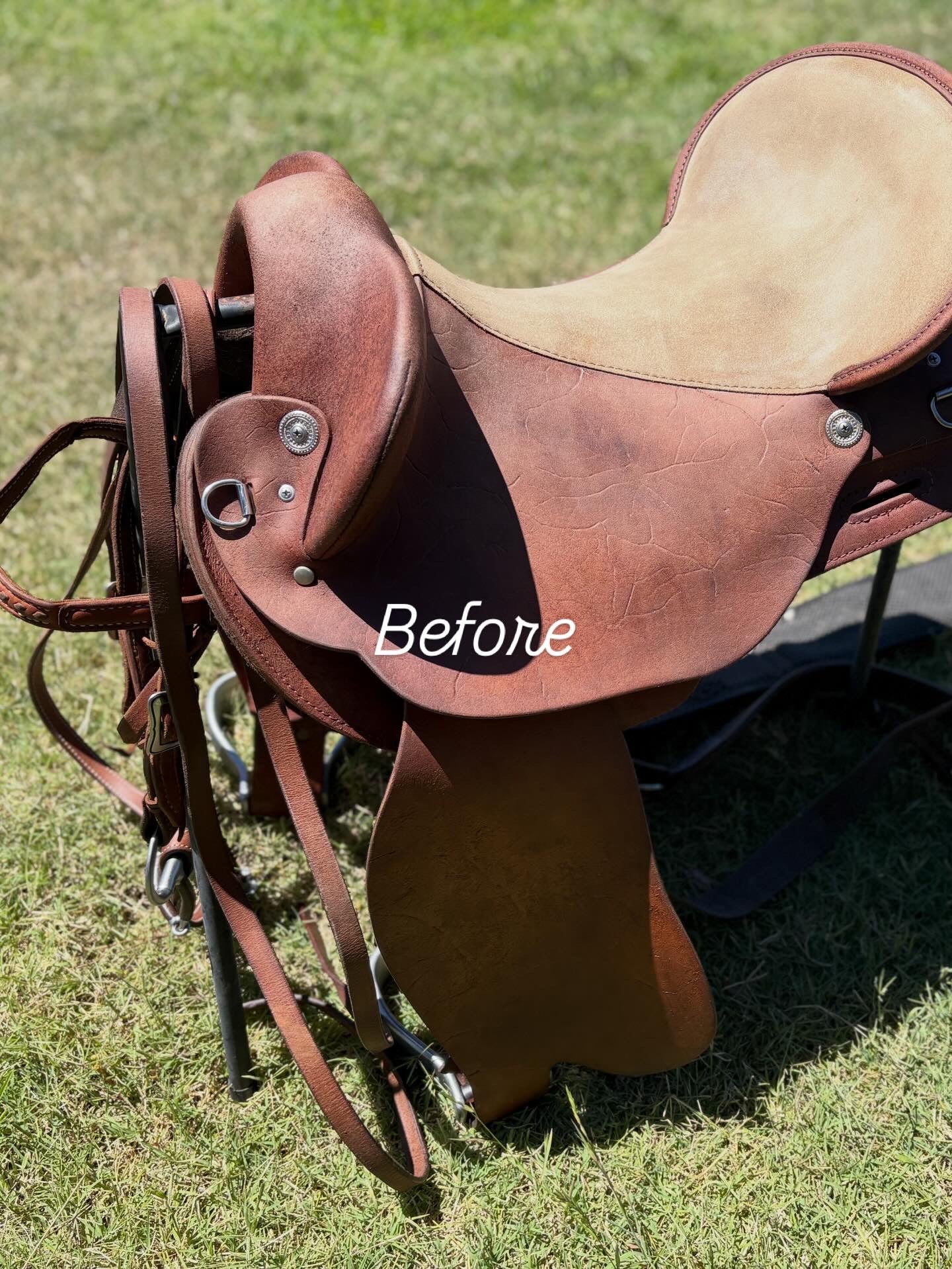 Saddle Soap