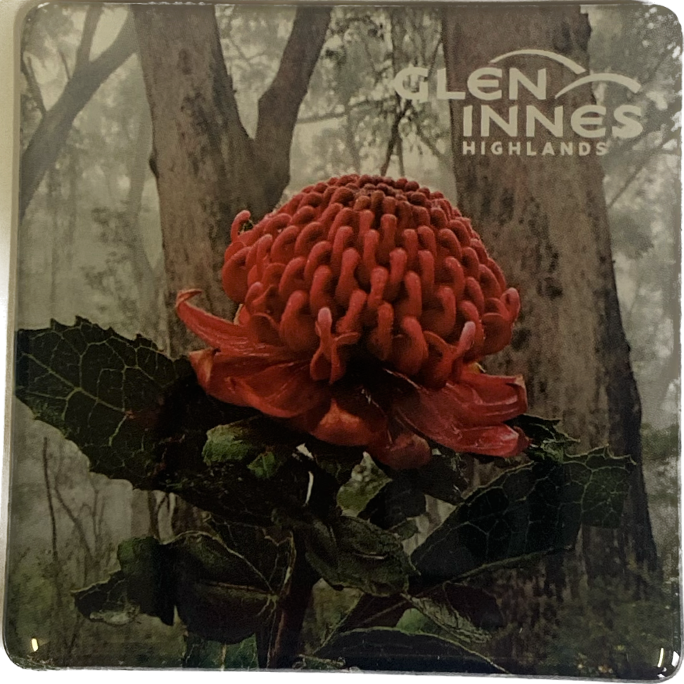 Waratah Magnet