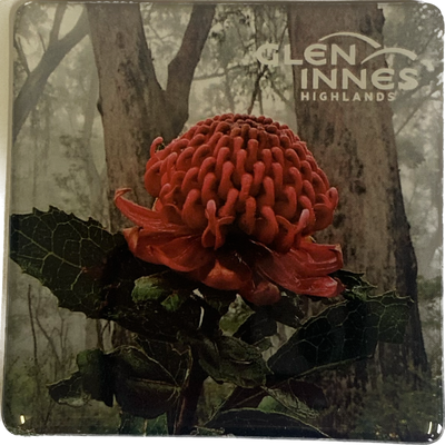 Waratah Magnet