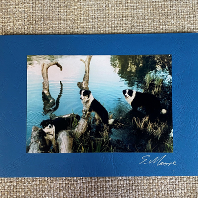 Photo Cards by Local Photographer Susan Jarman