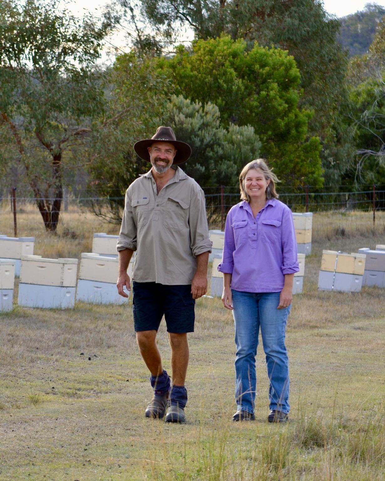 Melibee Honey Gift Box