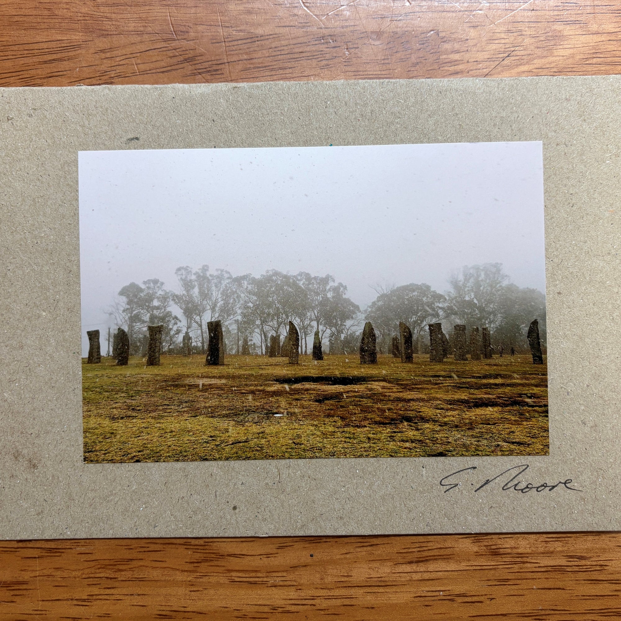 Photo Cards by Local Photographer Susan Jarman