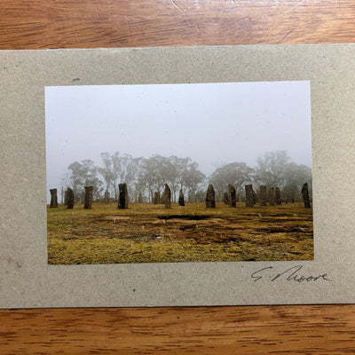 Photo Cards by Local Photographer Susan Jarman