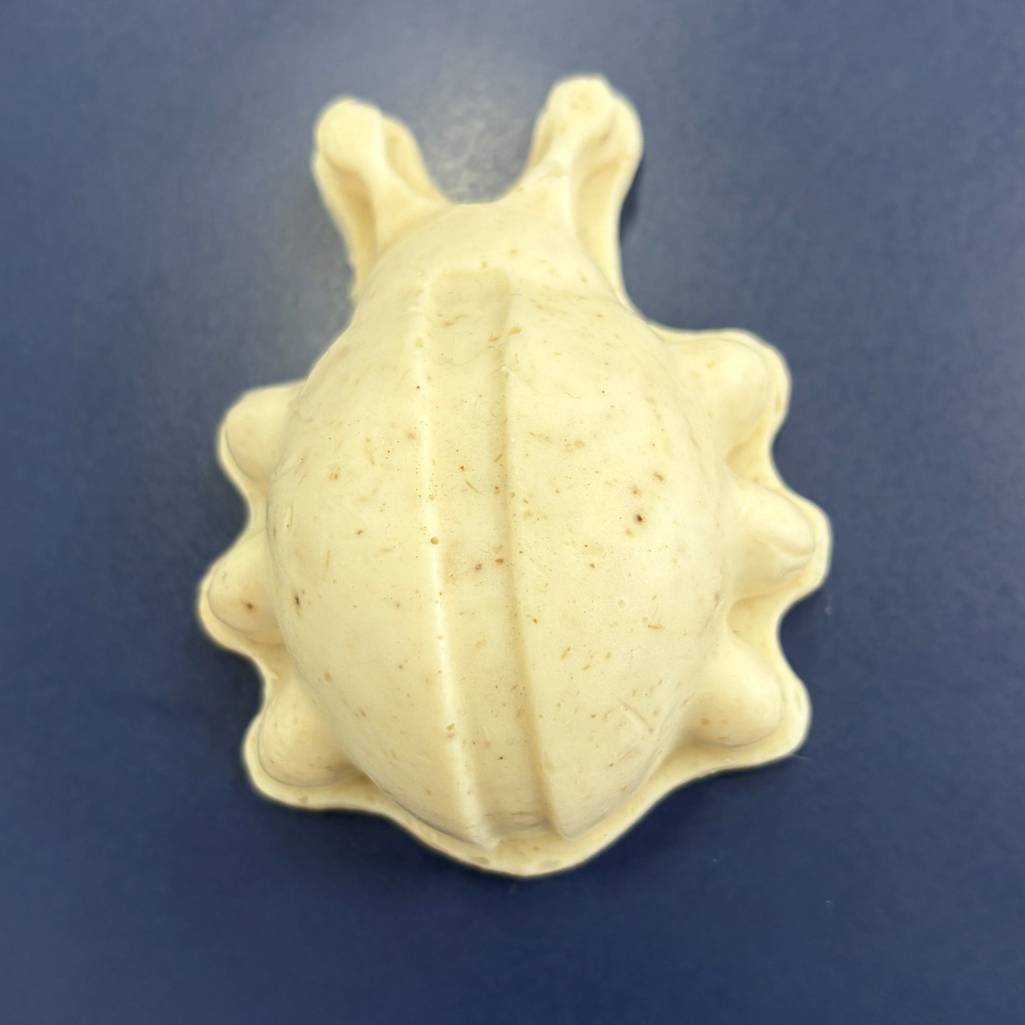 Bug Soap Butterly, Lady Beetle, Dragonfly