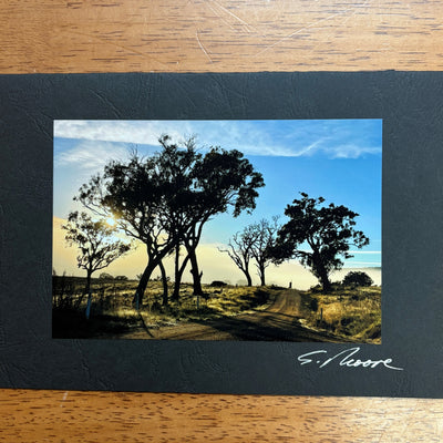 Photo Cards by Local Photographer Susan Jarman