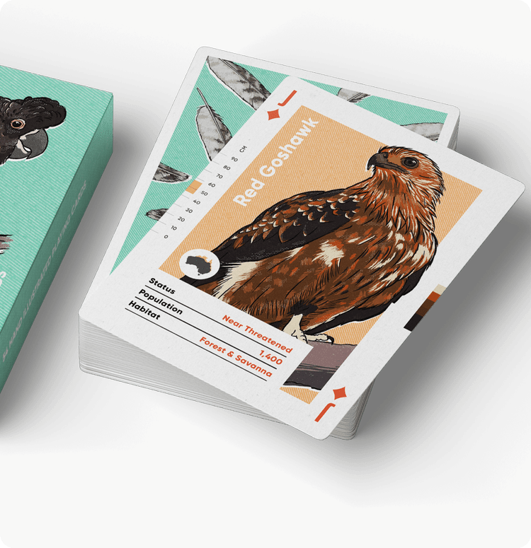 Birds of Australia Playing Cards by Wildly Nice