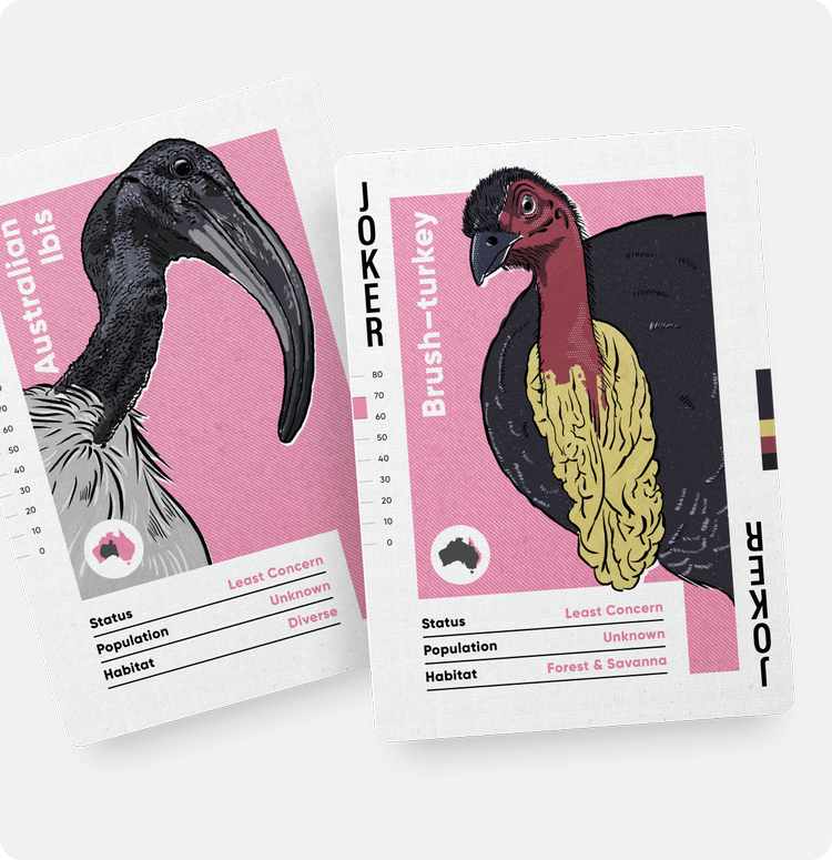 Birds of Australia Playing Cards by Wildly Nice