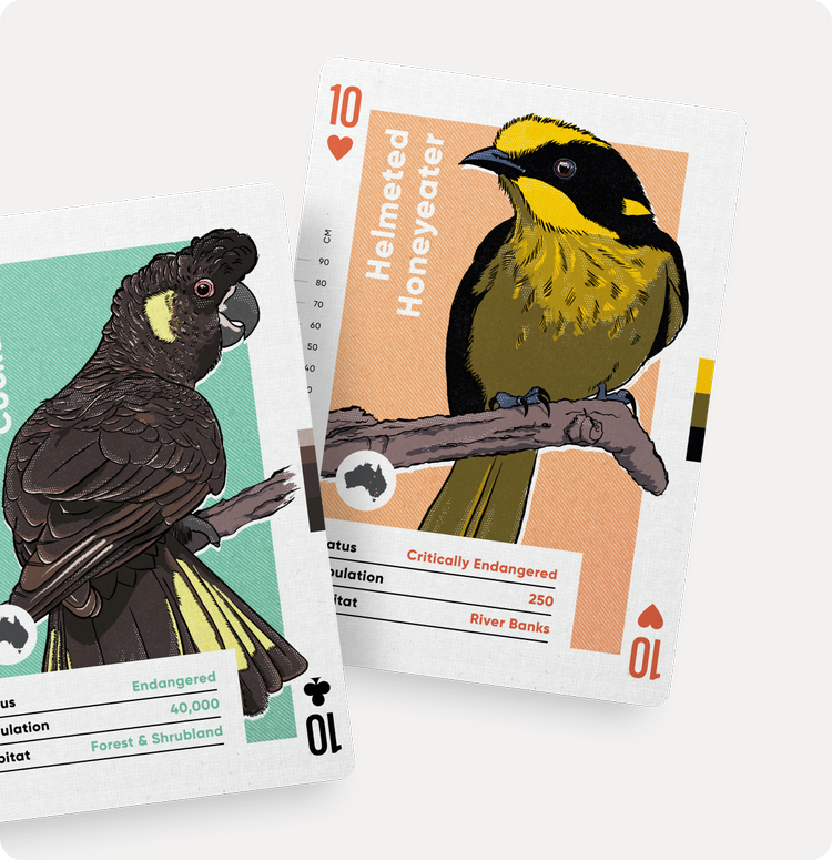 Birds of Australia Playing Cards by Wildly Nice
