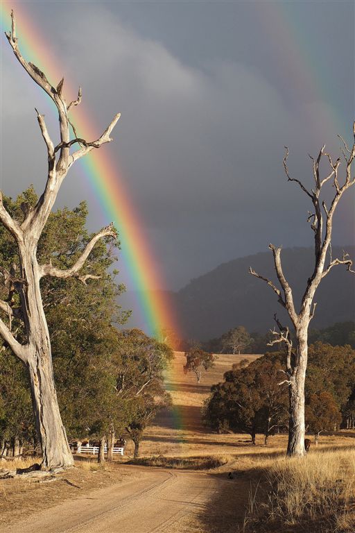Photo Cards by Local Photographer Susan Jarman