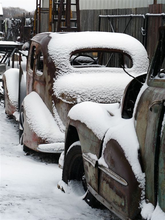 Photo Cards by Local Photographer Susan Jarman