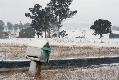 Photo Cards by Local Photographer Susan Jarman