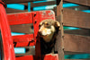 Photo Cards by Local Photographer Susan Jarman