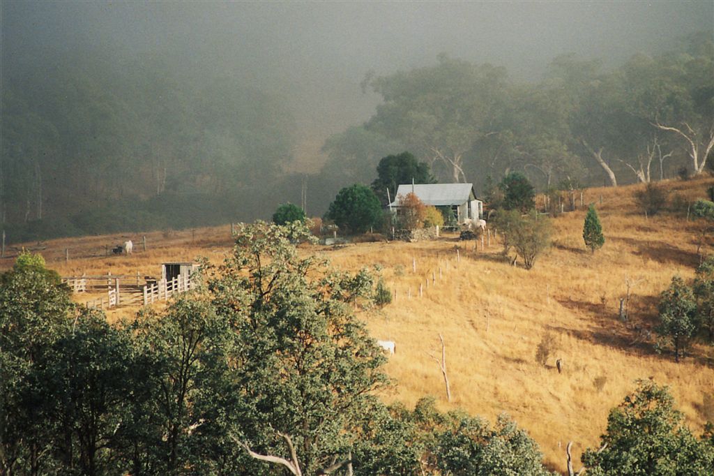 Horse Photo Cards by S Moore Jarman