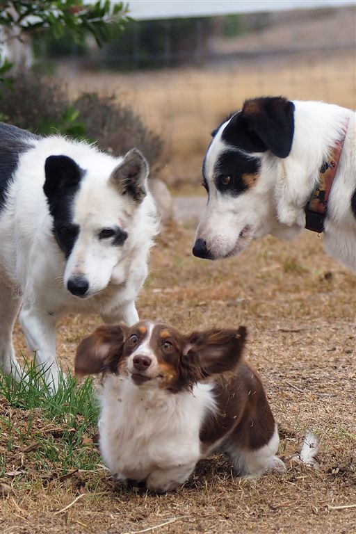 Photo Cards by Local Photographer Susan Jarman