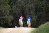 Horse Photo Cards by S Moore Jarman