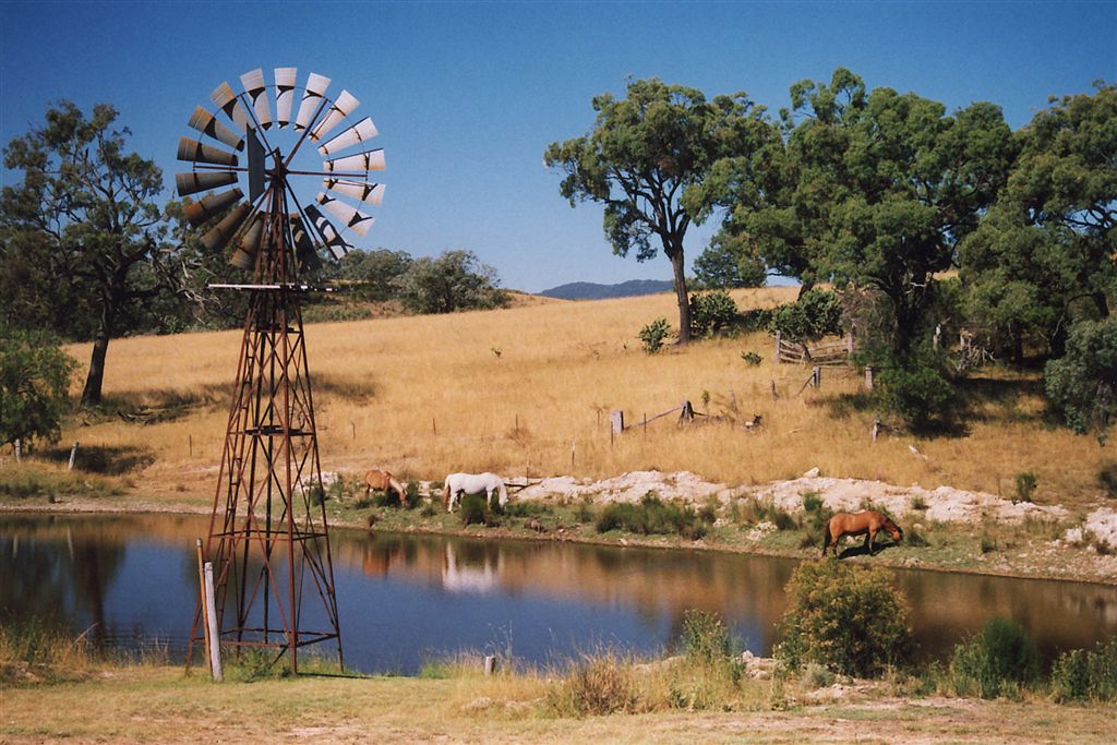 Horse Photo Cards by S Moore Jarman