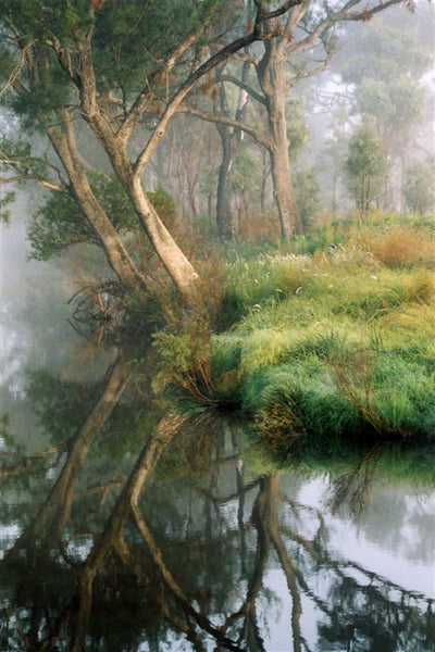 Photo Cards by Local Photographer Susan Jarman