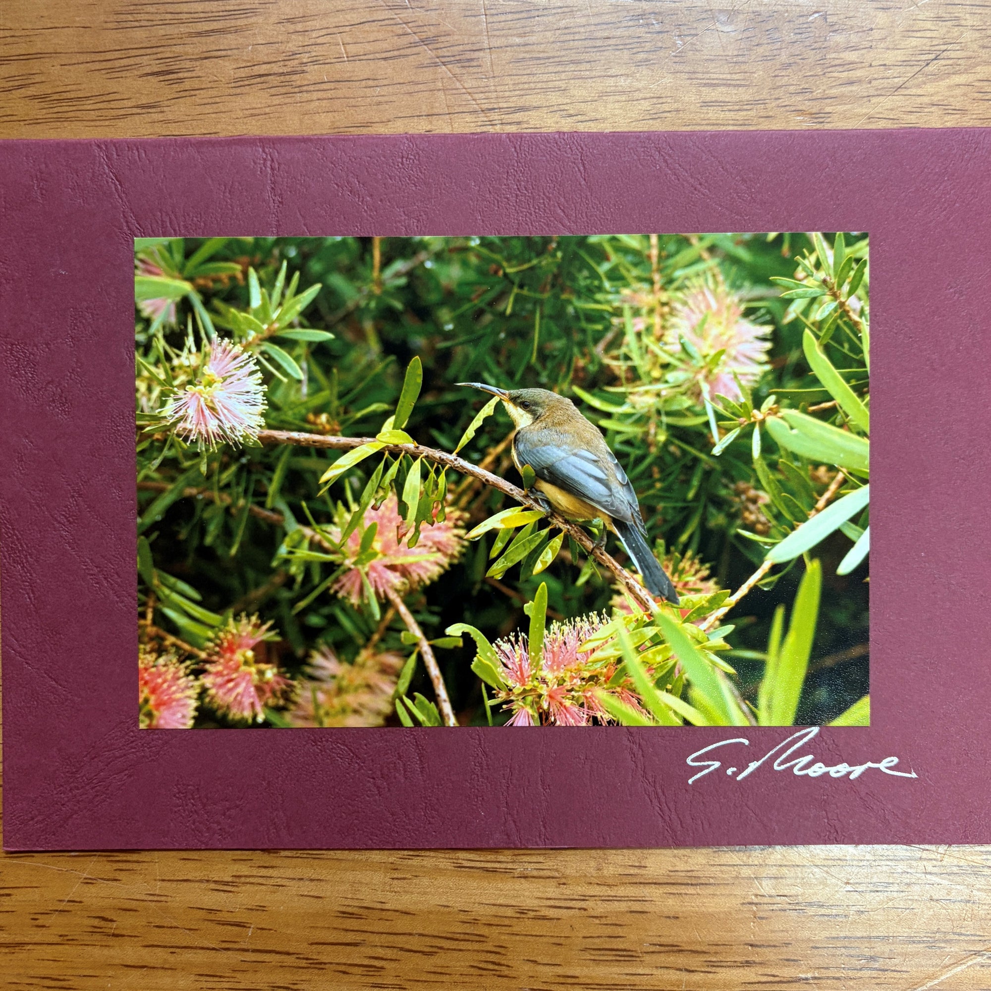 Photo Cards by Local Photographer Susan Jarman