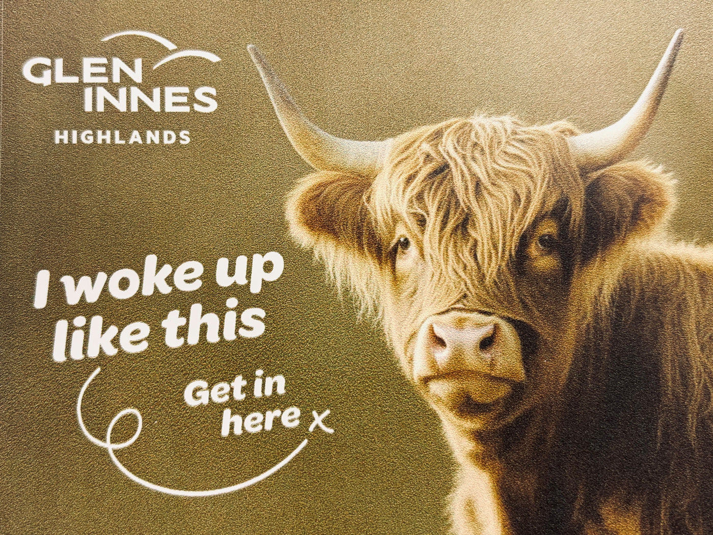 Cooler "I woke up like this!"