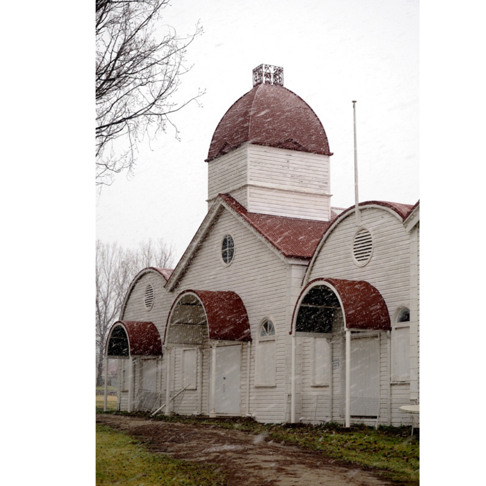 Photo Cards by Local Photographer Susan Jarman