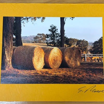 Photo Cards by Local Photographer Susan Jarman