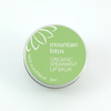 Organic Spearmint Mountain Lip Balm 15 ml