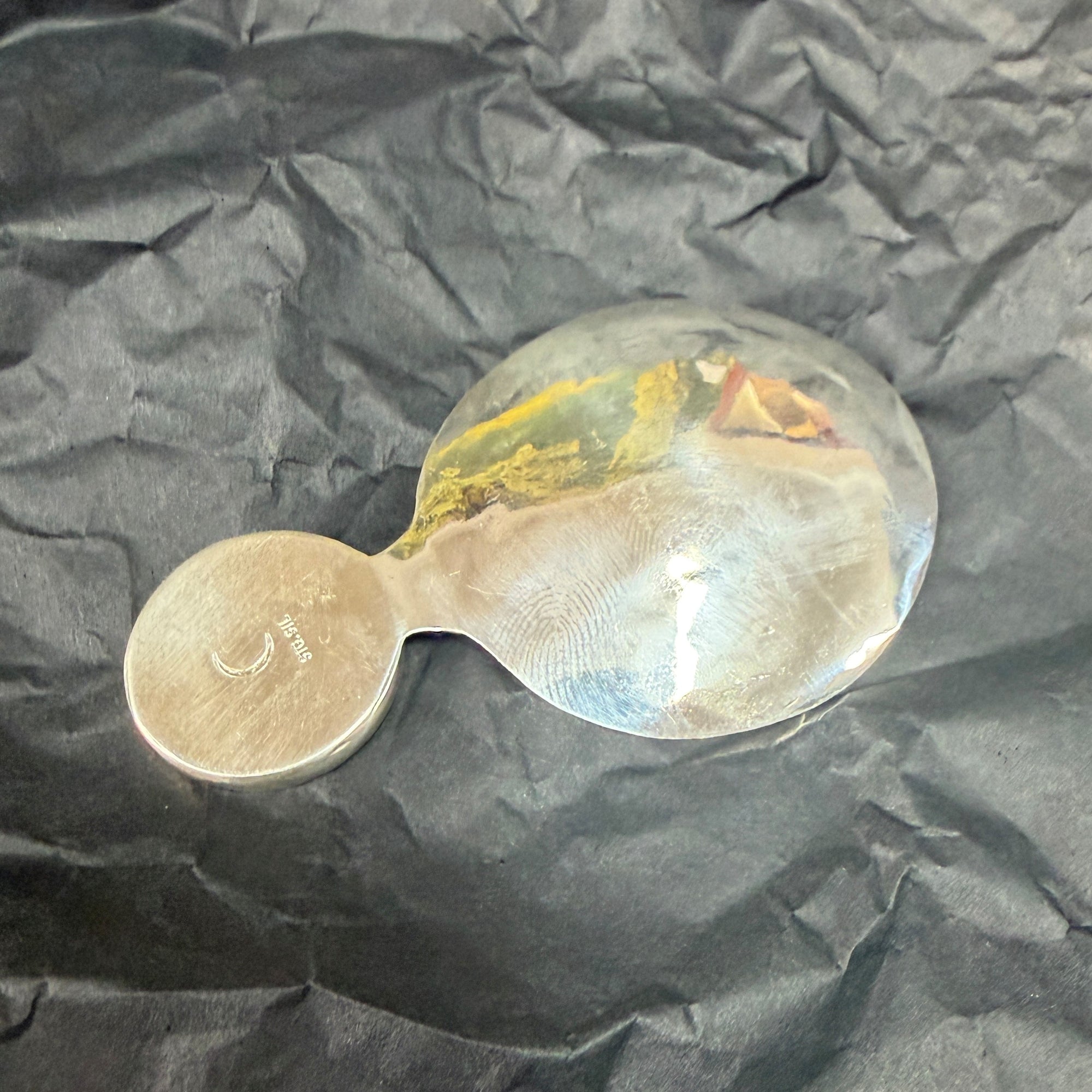 Sterling Silver and Linoleum Tea Caddy Spoon by Richard Moon