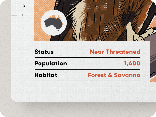 Birds of Australia Playing Cards by Wildly Nice