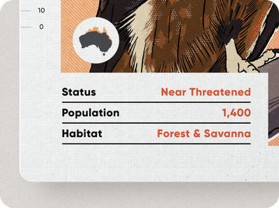 Birds of Australia Playing Cards by Wildly Nice