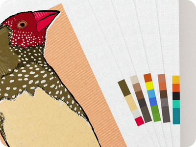 Birds of Australia Playing Cards by Wildly Nice