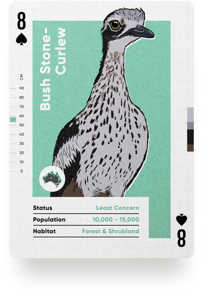 Birds of Australia Playing Cards by Wildly Nice