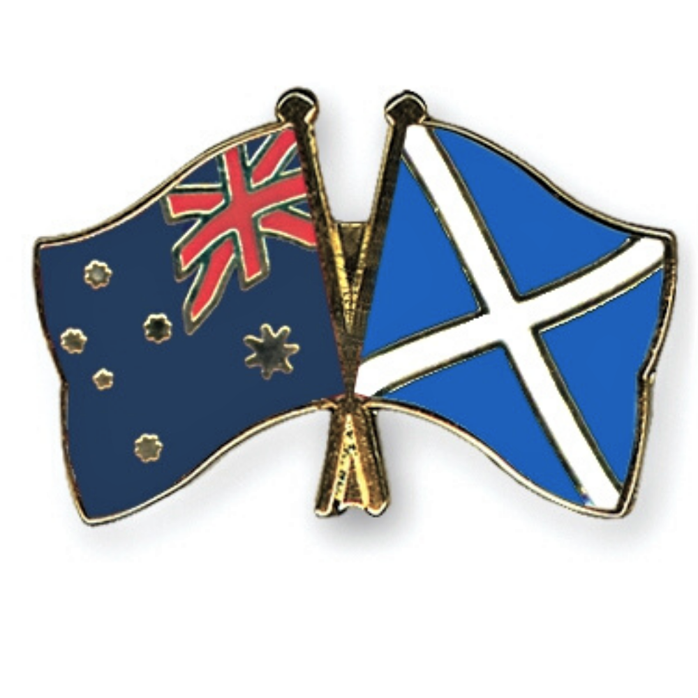 Friendship Flag Lapel or Hat Pin