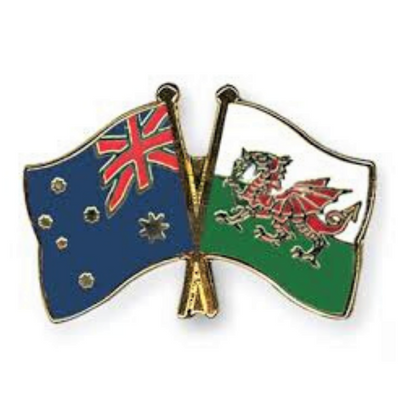 Friendship Flag Lapel or Hat Pin