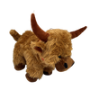 Highland Cow