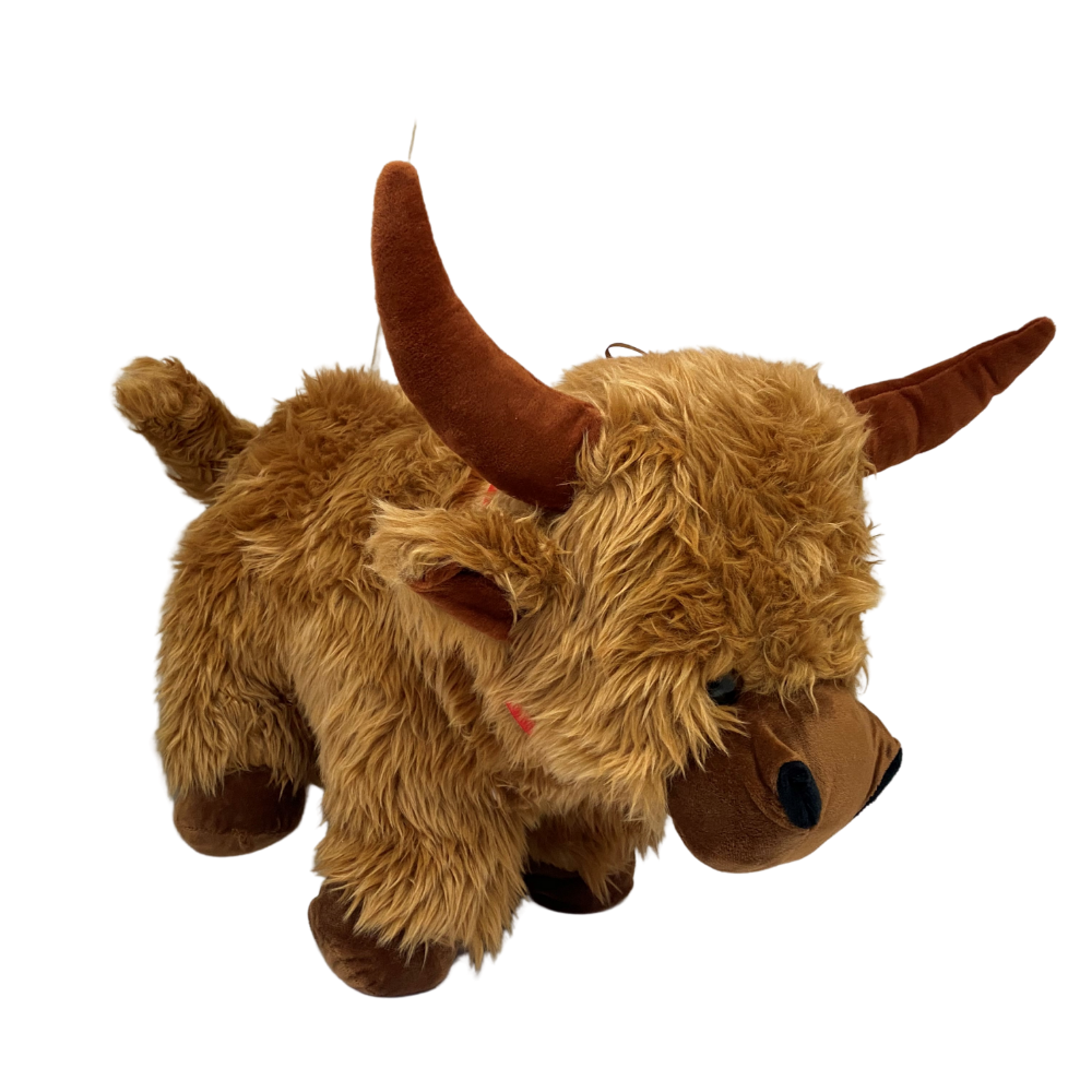 Highland Cow