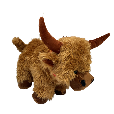 Highland Cow