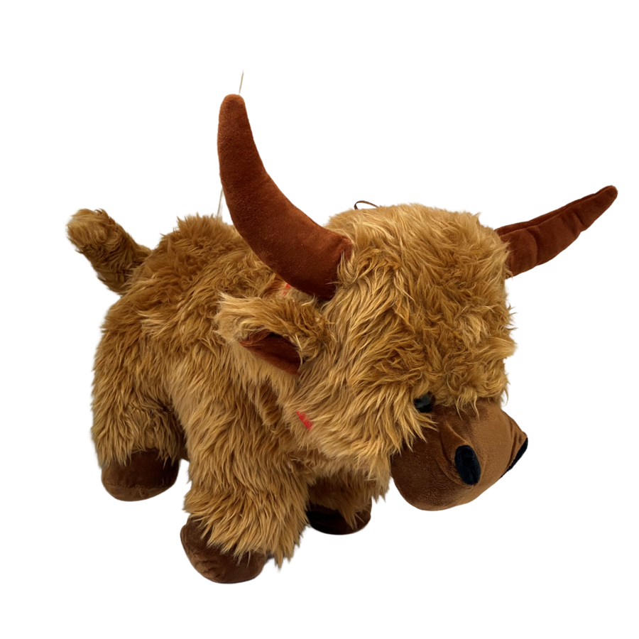 Highland Cow