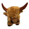 Highland Cow