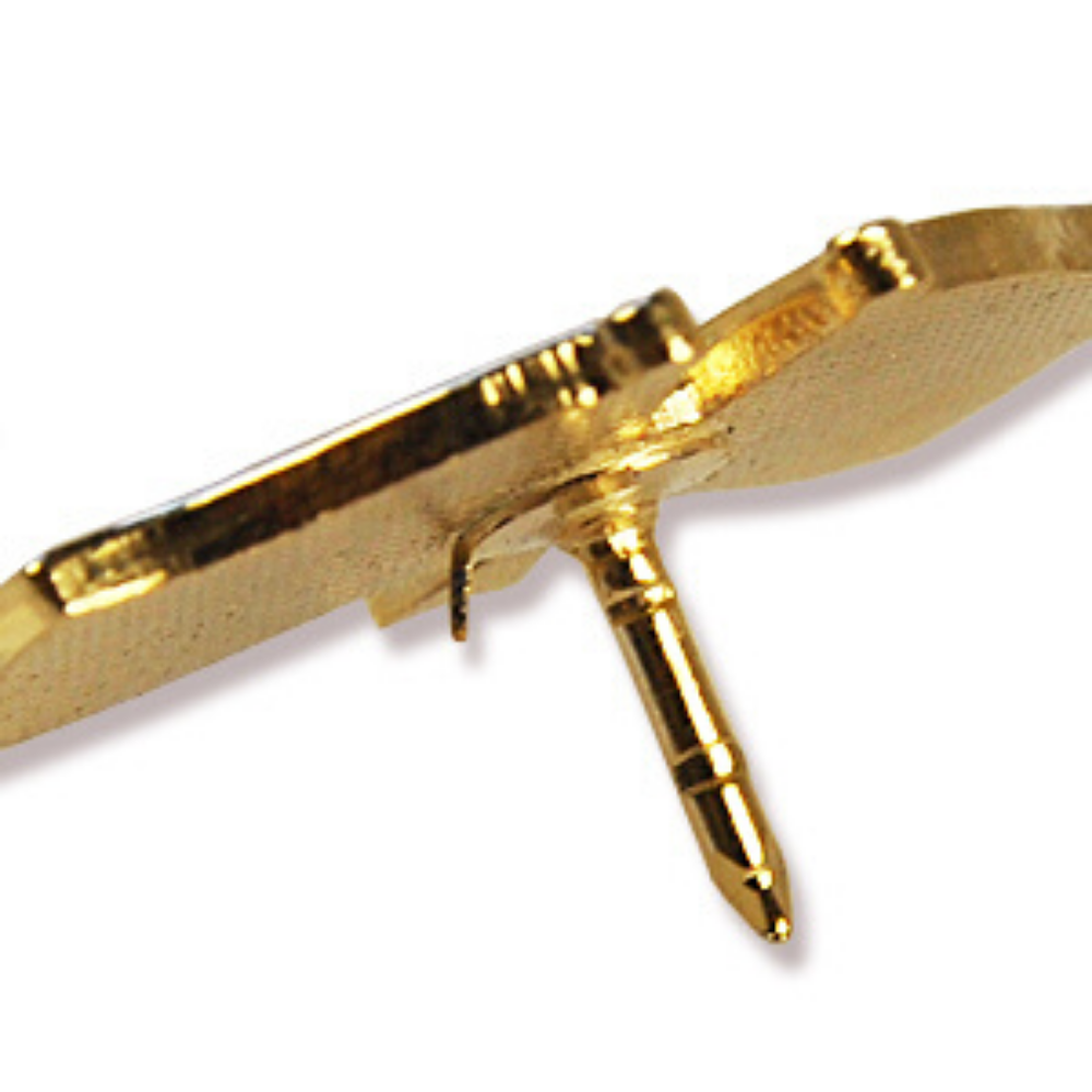 Friendship Flag Lapel or Hat Pin