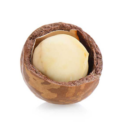 100 gm Dry Roasted Salted Macadamia Nuts