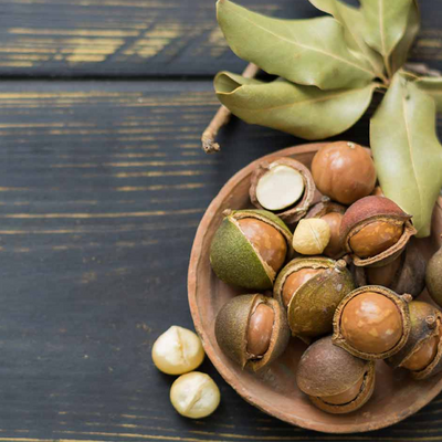 100 gm Dry Roasted Salted Macadamia Nuts