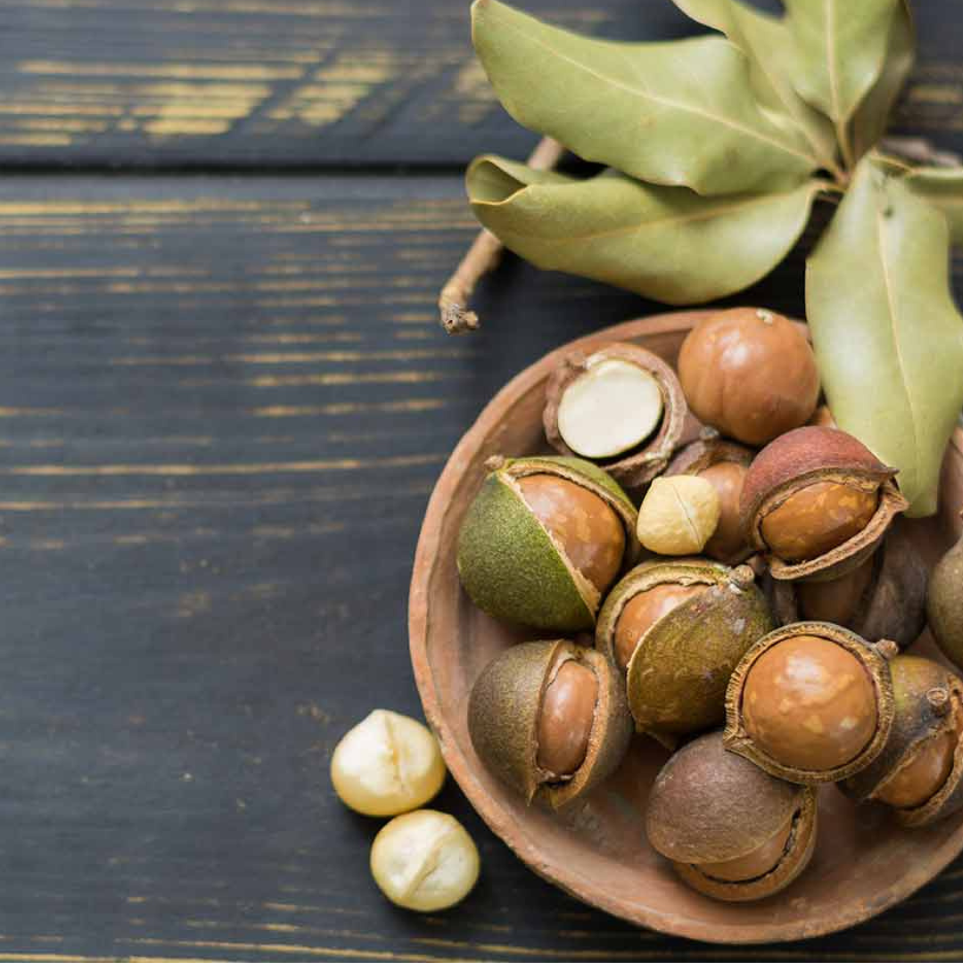 Milk Chocolate Coated Macadamia Nuts